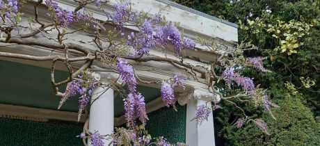 Ascott House and Gardens - Featured Image - 4