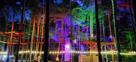 Go Ape Alexandra Palace - Featured Image - 2