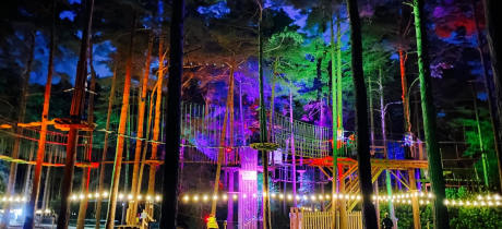 Go Ape Bedgebury - Featured Image - 2