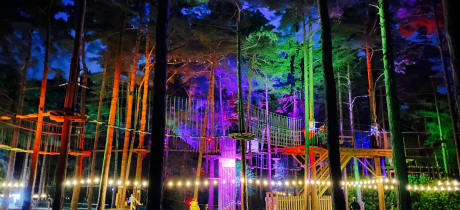 Go Ape Cannock - Featured Image - 2