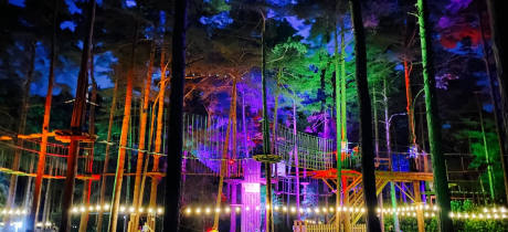 Go Ape Wyre - Featured Image - 2