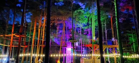 Go Ape Wendover - Featured Image - 2