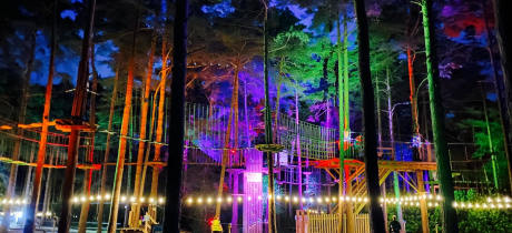 Go Ape Southampton - Featured Image - 2