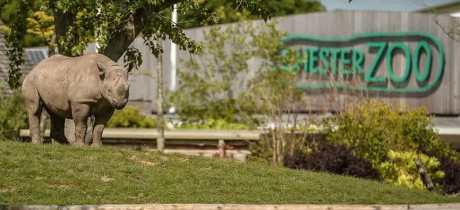 Chester Zoo - Featured Image - 2