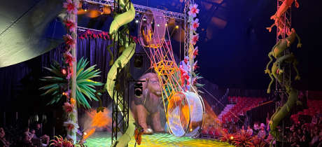 Big Kid Circus - Featured Image - 2
