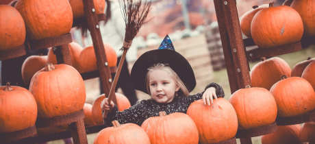 Halloween Farm - Featured Image - 3