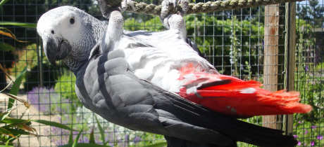 Filey Zoo - Featured Image - 3
