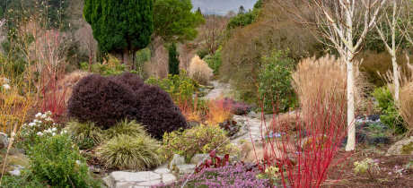 Bodnant Garden - National Trust - Featured Image - 2