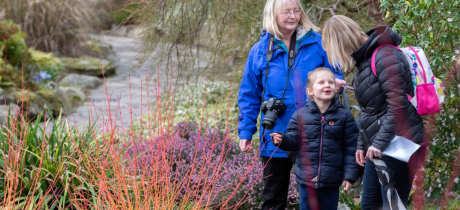 Bodnant Garden - National Trust - Featured Image - 3