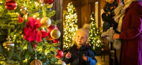 Tredegar House - National Trust - Featured Image - 2