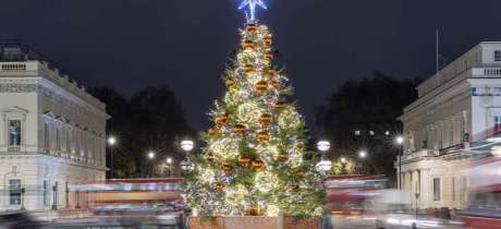 Christmas Lights Walking Tour - Featured Image - 4