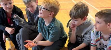 reptile encounters scotland ltd - Featured Image - 3