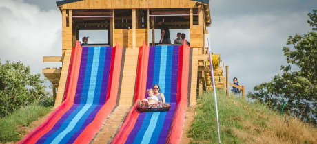 National Forest Adventure Farm - Featured Image - 4