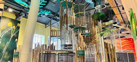 Eureka! Science + Discovery - Featured Image - 3