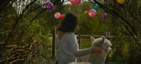 The Darling Woods of May - Featured Image - 3