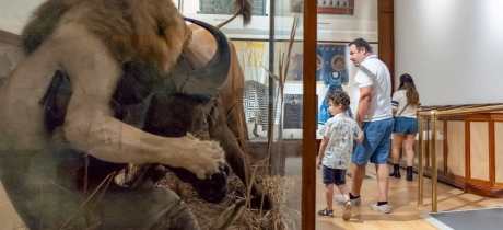 Powell-Cotton Museum - Featured Image - 3