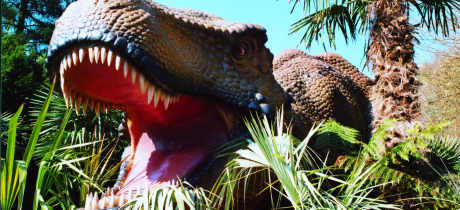 National Showcaves Centre for Wales - Featured Image - 2