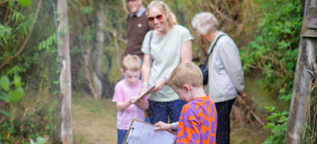 Elton Giant Mazes - Featured Image - 4