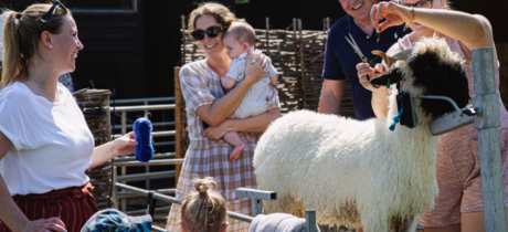 BLACKLION Farm - Featured Image - 2