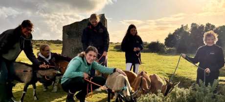 Hallagenna Farm park and horse riding - Featured Image - 2