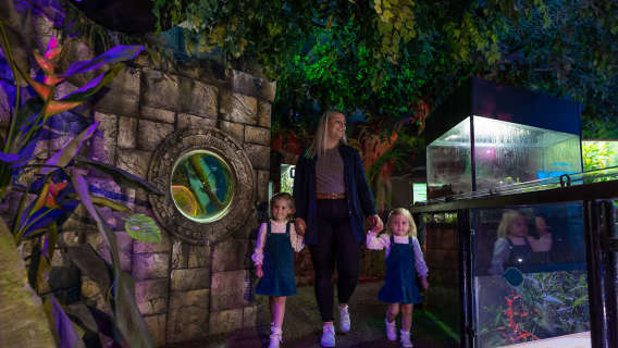 family walking through sea life