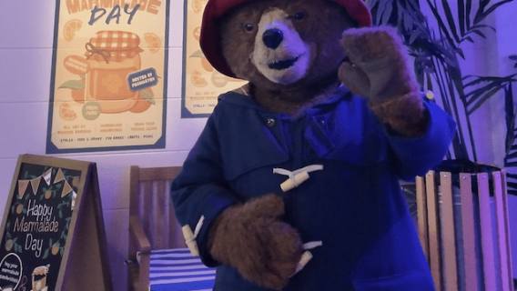 The Paddington Bear Experience