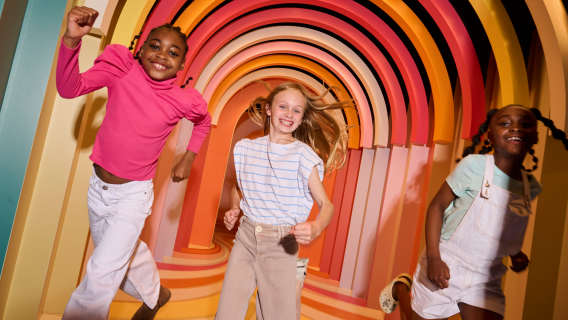 Twist Museum