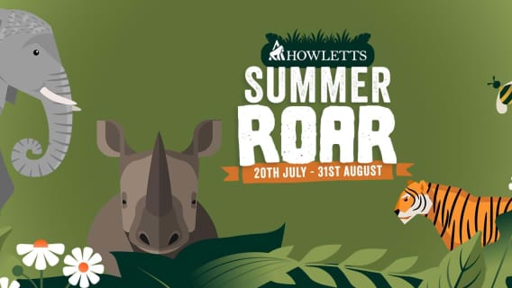 Howletts Wild Animal Park