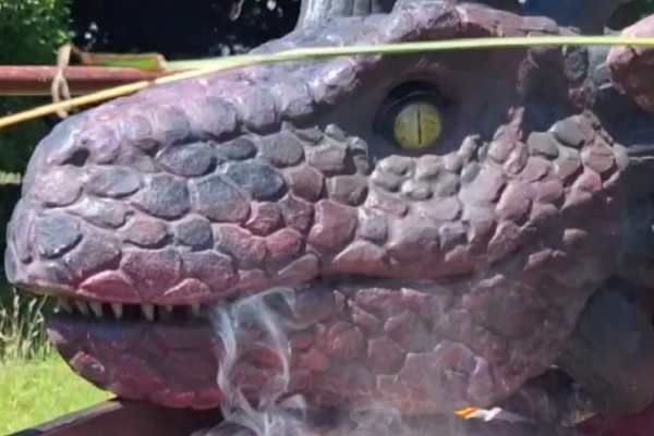 Meet a baby dragon at Hogshaw Farm & Wildlife Park Meet a baby dragon at Hogshaw Farm & Wildlife Park