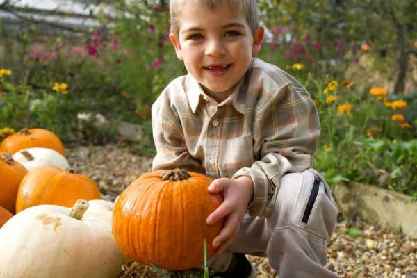 Choose a pumpkin from the patch Choose a pumpkin from the patch