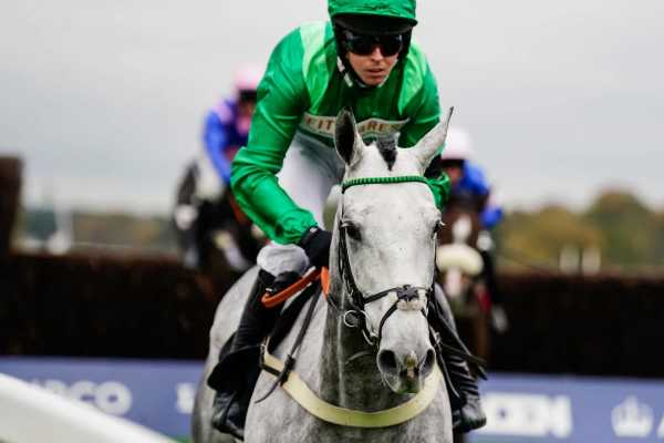 The jumps season at Ascot Racecourse The jumps season at Ascot Racecourse