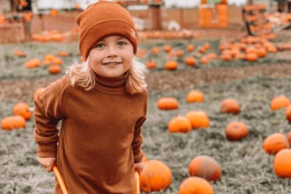 Main Pumpkin Patch Main Pumpkin Patch
