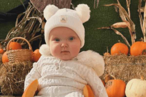 Mini Pumpkin Patch Mini Pumpkin Patch