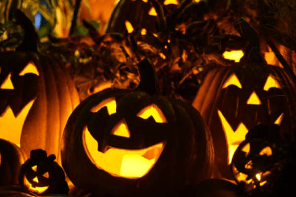 The Pumpkin Patch After Dark The Pumpkin Patch After Dark