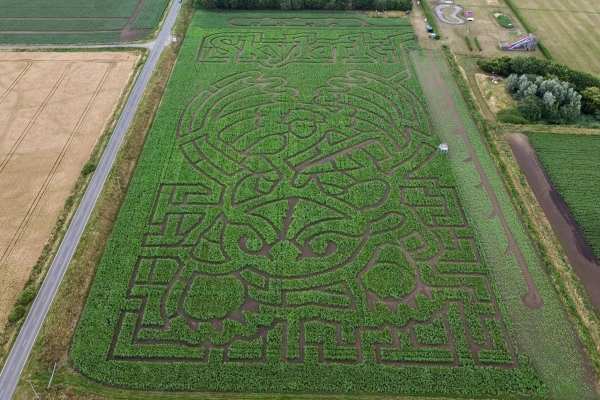 Our 2025 Maize Maze from above! Our 2025 Maize Maze from above!
