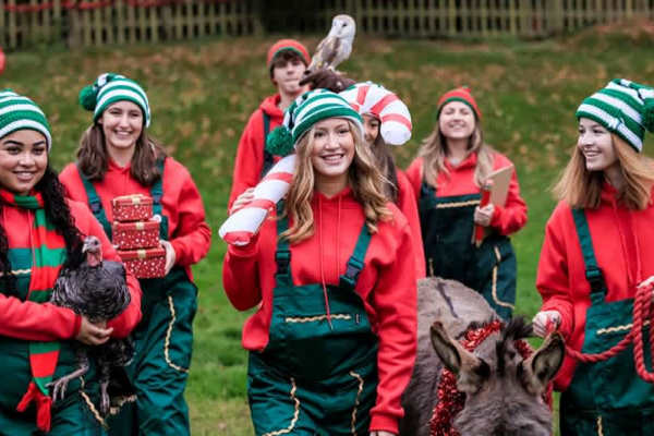 Santa's elves Santa's elves