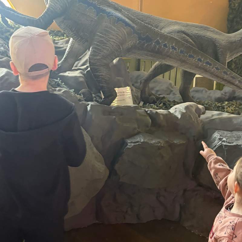 Looking at the dinos as you first enter