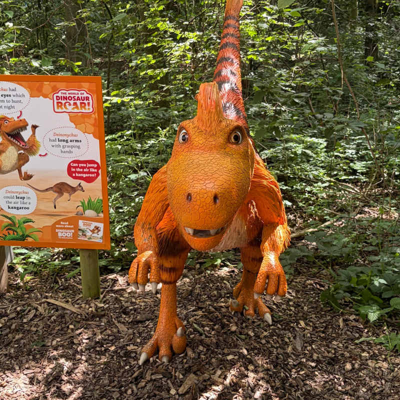 Dinosaur trail