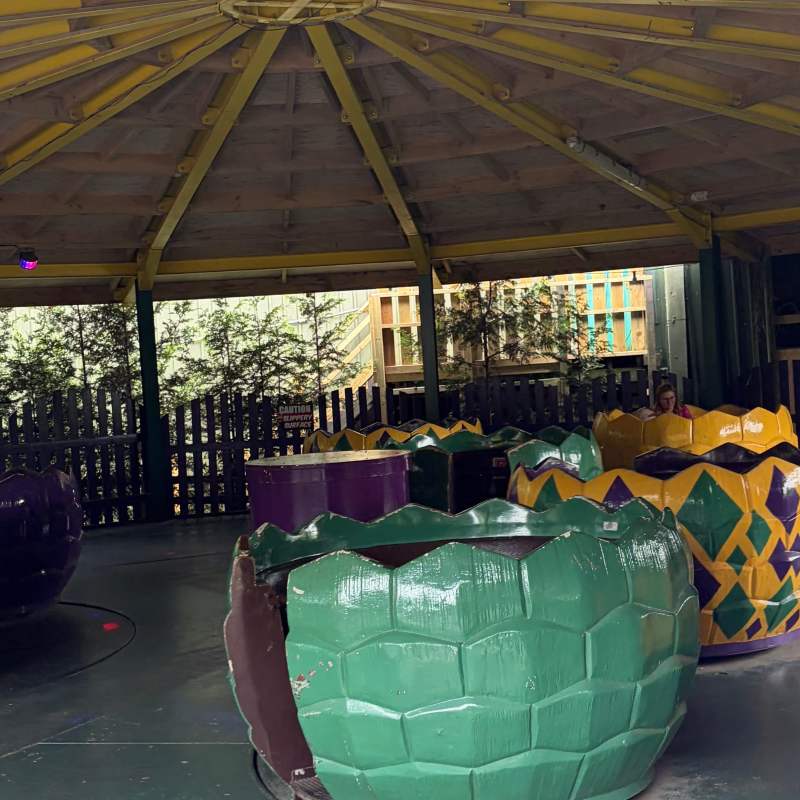 Spinning dinosaur eggs