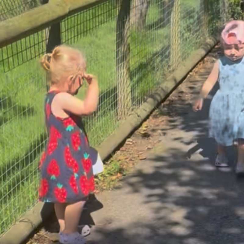 I felt safe for the young children to explore without having anywhere for them to run out of sight or hide.