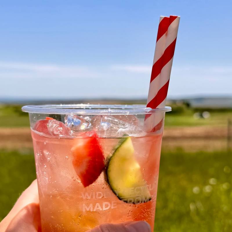 I cooled off with a refreshing summer drink while soaking up the beautiful countryside views – the perfect way to enjoy a sunny afternoon at Diddly Squat Farm! 🍓