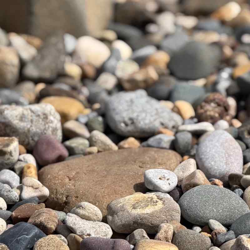 Pebbled beach