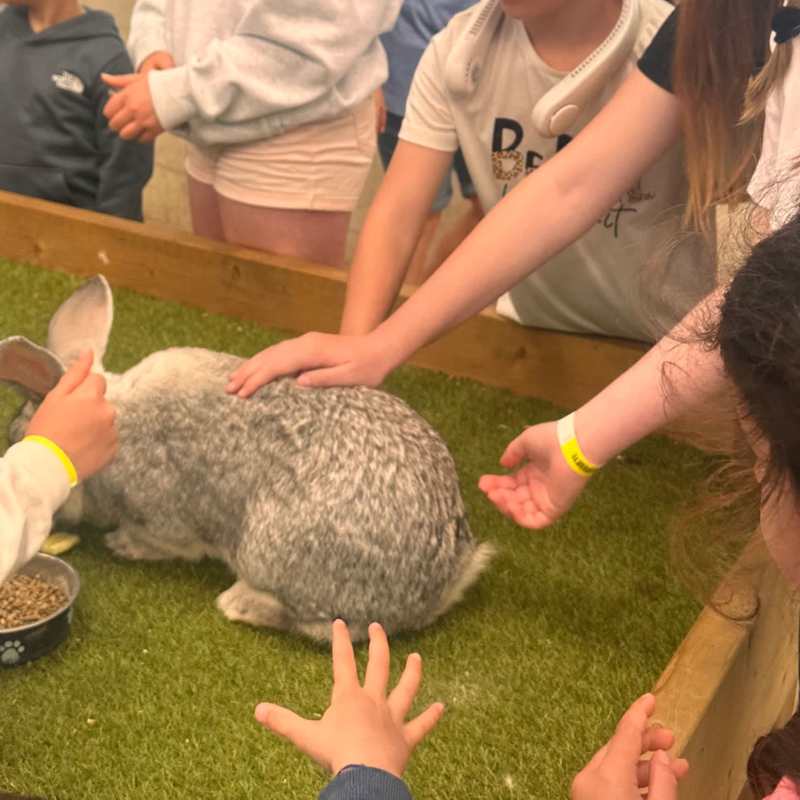 Petting Peter Rabbit!