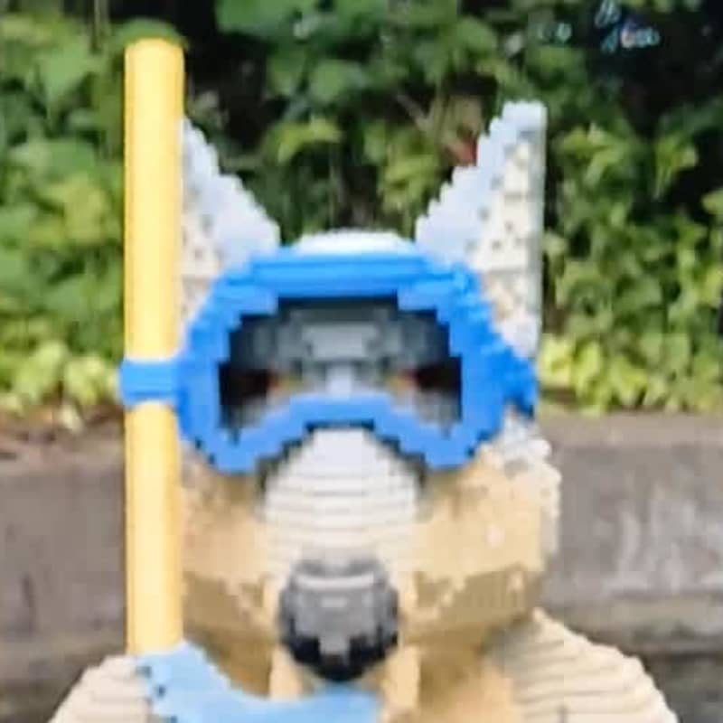 Wolf that moved up and down