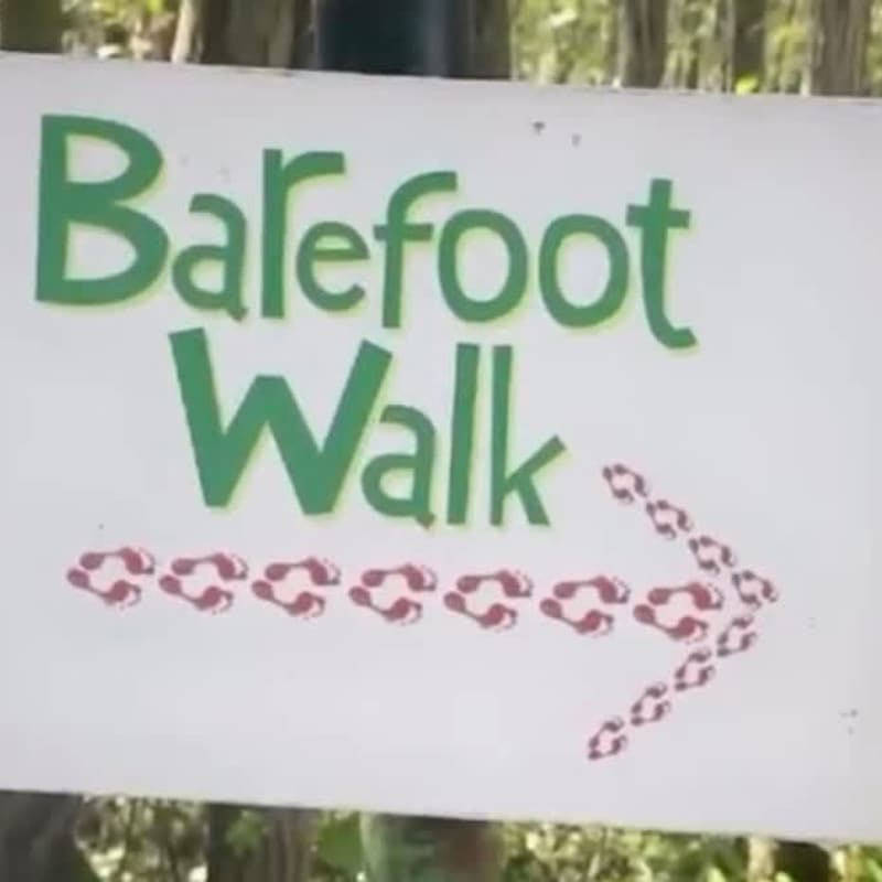 Walk