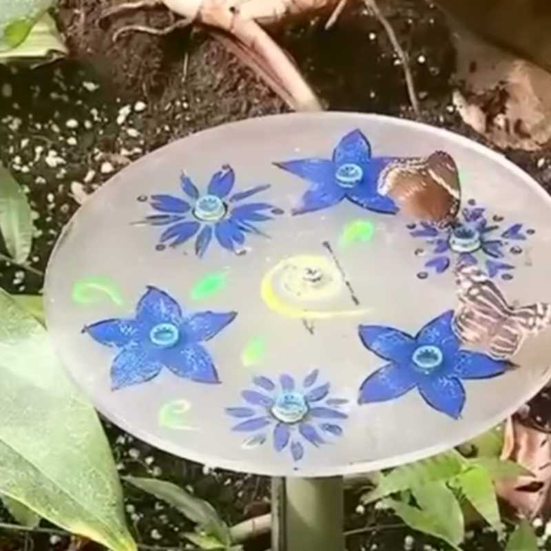 🦋
