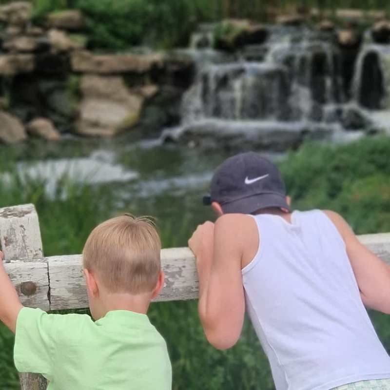 Playing pooh sticks