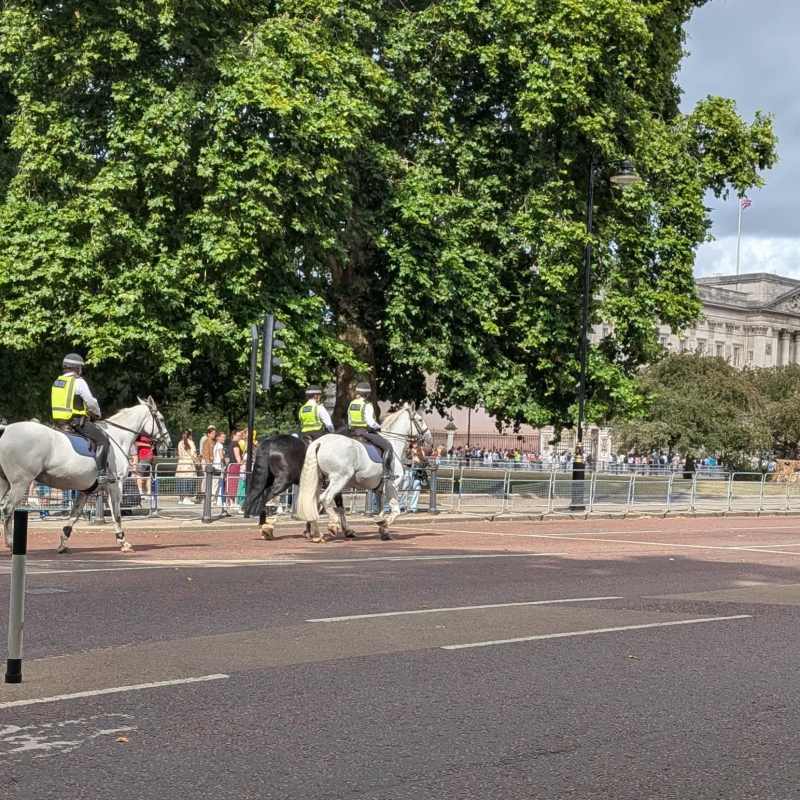 Police on horses patrolling the area