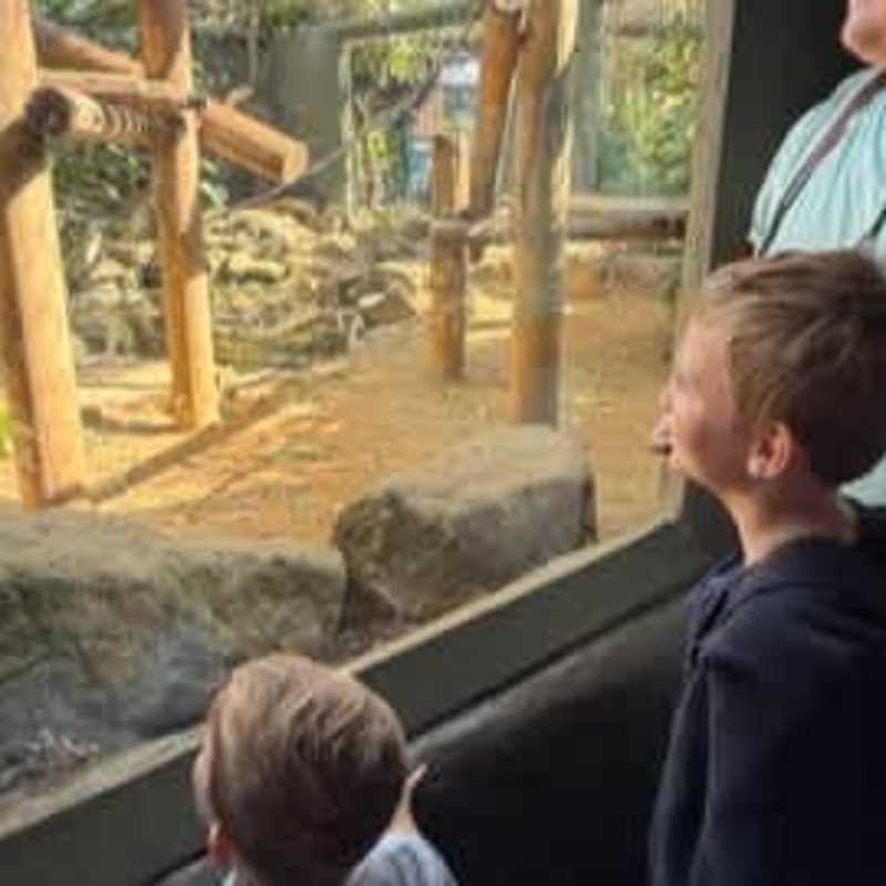 Lots to see and enjoy