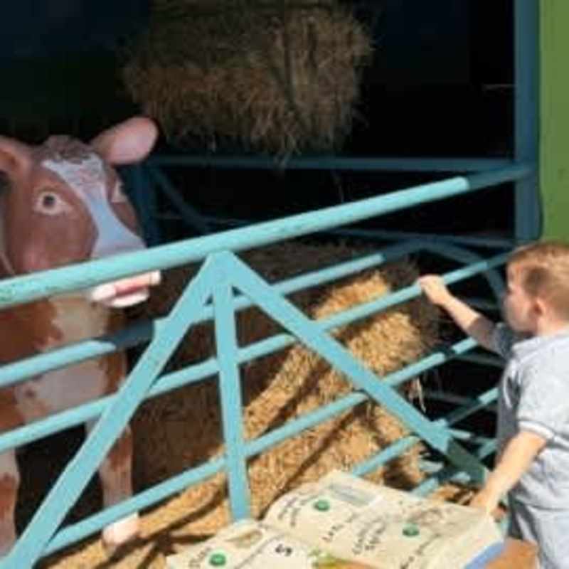Interactive spaces for the children to roam freely